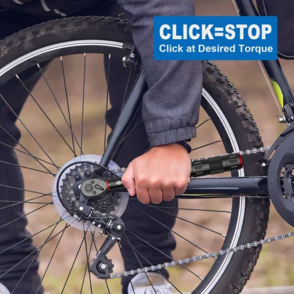 1/4-Inch Drive Click Torque Wrench, 4-30Nm Bike Torque Wrench, Dual-Direction Adjustable 72 Tooth Click Torque Wrench for Bicycle Maintenance